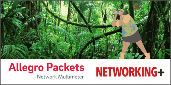Wie Sie den passenden Anbieter für Ihre Netzwerk Analyse finden.
