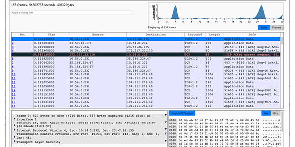 Allegro Packets veröffentlicht neues Webshark-Feature