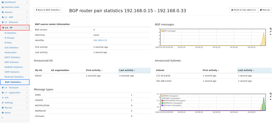 BGP router-pair-details.png