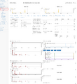 Thumbnail for version as of 12:53, 9 August 2024